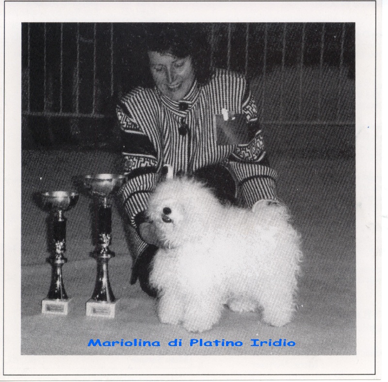 CH. Mariolina di platino iridio