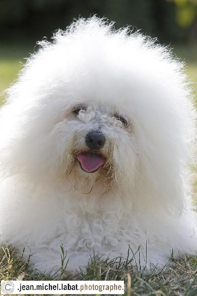 CH. Bahia du pays des santones