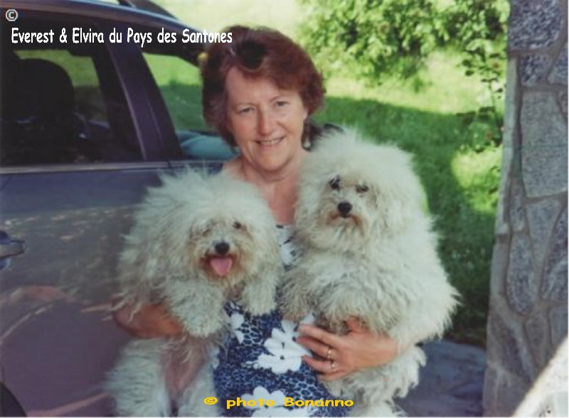 CH. Elvira du pays des santones